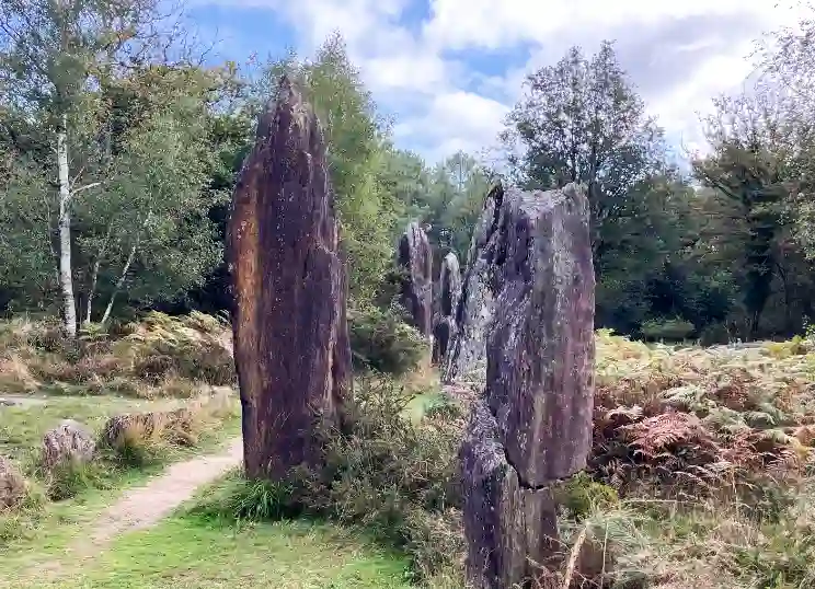 A remarkable group of ancient standing stones in a natural Breton setting of trees and ferns.